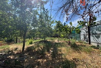 Casă individuală cu 6 camere cu Canalizare în Lipovei - 18