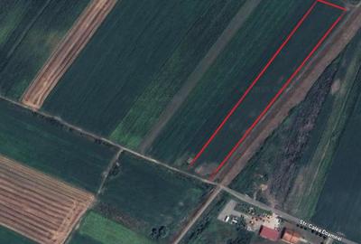 Teren agricol intravilan de 8275 mp, în Ciugud - 1