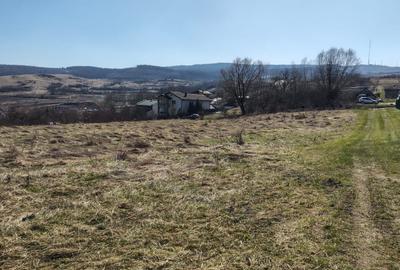 Teren Construcții intravilan de 1253 mp, în Borhanci - 2
