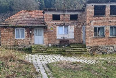 Teren de 3700 mp, în Certeju de Sus - 5