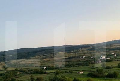 Teren intravilan,18000 mp, situat in Sopor, Exclusivitate! Teren intravilan,18000 mp, situat in Sopor, Exclusivitate! - 3