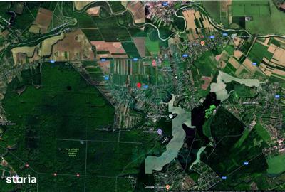 Teren de 5000 mp, în Gruiu - 3