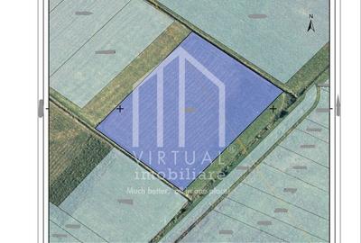 Teren de vanzare in Sura Mica: pretabil investitie | 10 euro/mp Teren de vanzare in Sura Mica: pretabil investitie | 10 euro/mp - 1