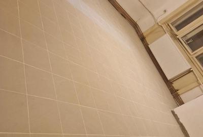 Garsonieră nedecomandată în Elisabetin - 3