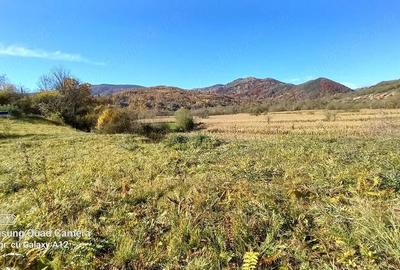 Teren de 500 mp, în Sălciua - 4