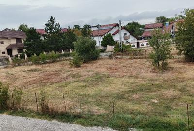 Teren Construcții intravilan de 1570 mp, în Mogoșoaia - 2