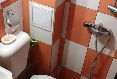 Proprietar vand garsoniera, Miorita21, parter, Timisoara - 7