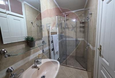 Inchiriere casa cu terasa si curte zona Piata Mica Spitalul Judetean - 19