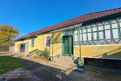 Casa individuala de vanzare in satul Zizin, jude?ul Bra - 6