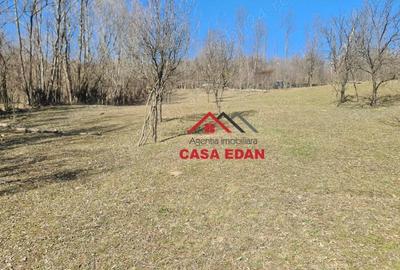 Teren de 9104 mp, în Brebu - 2