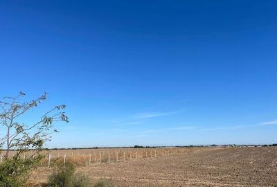 NOU! TEREN INTRAVILAN | LA LIMITA CU SEC 4 | OPORTUNITATI | JILAVA - 1