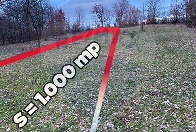 Teren de 1000 mp, în Dumbrăvița - 2