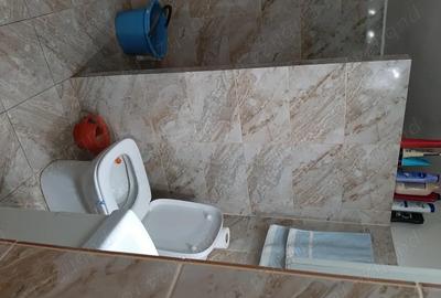 Casă cu 2 camere în Biharia - 2