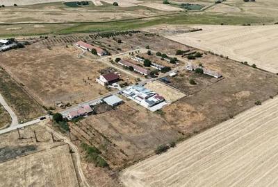 Teren de 90000 mp, în Sânandrei