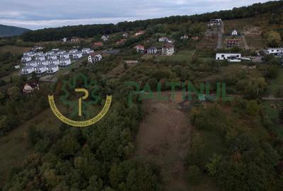Teren Construcții intravilan de 960 mp, în Cisnădioara - 11