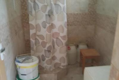 Casă cu 2 camere în Almașu - 13