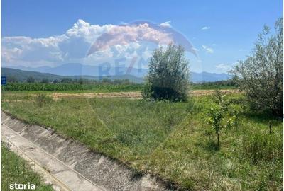 Teren de 14800 mp, în Central