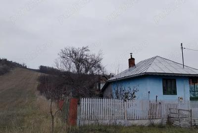 Casă cu 3 camere în Dobrețu - 2