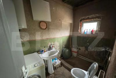 Casă cu 3 camere cu Teren 3088 Mp în Viile Satu Mare - 9