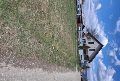 Casă cu 2 camere în Sărmaș - 5