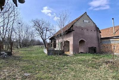 Casă cu 4 camere cu Teren 3000 Mp în Central - 5