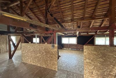 VAND O VILA IN PADUREA DIN FILIPESTI - 18