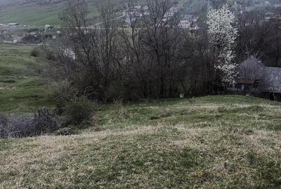 Teren de 2600 mp, în Izvoarele - 6