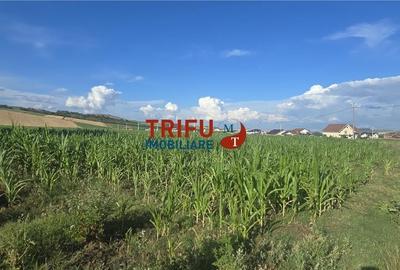 Teren de vânzare în Ighiu 1000 mp cu utilități Teren de vânzare în Ighiu 1000 mp cu utilități - 3