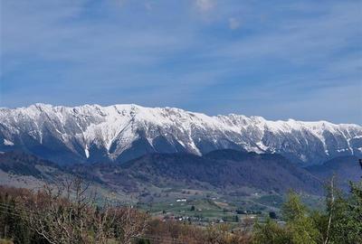 7.000 mp, pozitie spectaculoasa, fara vecini, Fundatica, Brasov - 13