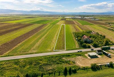 Teren Construcții intravilan de 7500 mp, în Cernat - 3