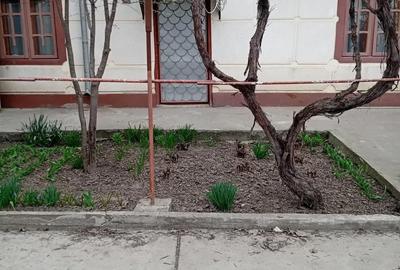 Casă cu Teren 824 Mp în Central - 4