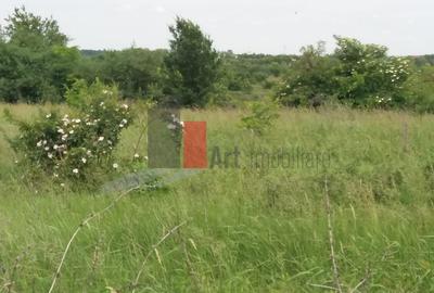 Teren Buftea cu iesire la lac - 22