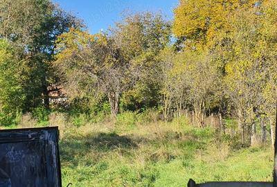 Casa de vanzare la ?ara - 7