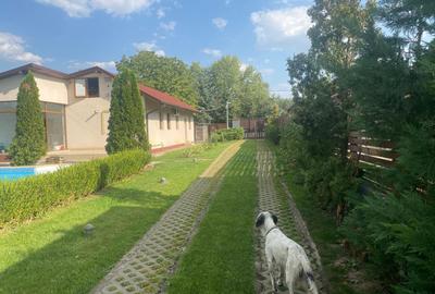 Casă individuală cu 10 camere cu Canalizare în Snagov - 42