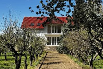 Vila cu livada Paulis, Arad