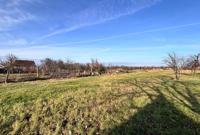 Teren intravilan Felcheriu-Osorhei 2500mp - 6