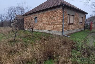 Casă în Peciu Nou - 9