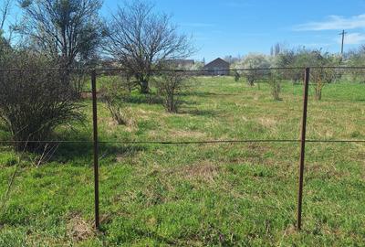 Teren Construcții intravilan de 2262 mp, în Dragomirești-Vale - 10