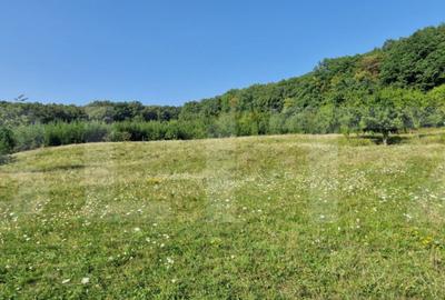 Teren de vanzare, 1Ha in apropiere de cartierul RAAL - 4