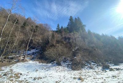 Teren de 2694 mp, în Rucăr - 7
