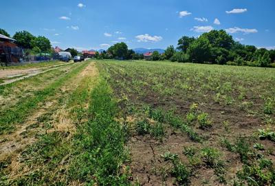 Teren intravilan in Stupini aproape de Centrul Cartierului 856 mp - 3