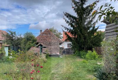 Casa ?araneasca in centrul localita?ii Ilieni te - 8