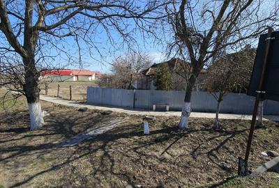 Casă cu 3 camere în Nădab