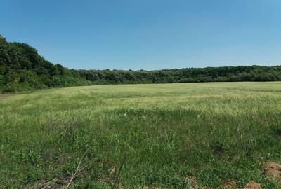 Teren Construcții intravilan de 1250 mp, în Ciofliceni - 5