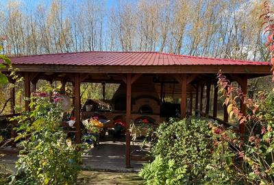 Casă individuală cu 4 camere cu Teren 8800 Mp în Gura Văii - 12