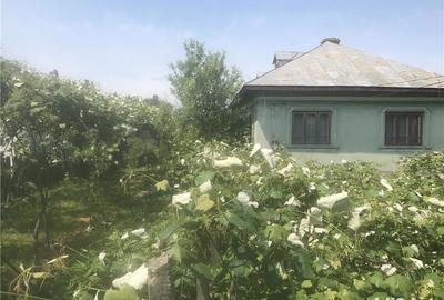 Casă cu 4 camere cu Teren 1000 Mp în Melinești - 5