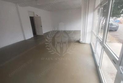 Spațiu comercial, de 70 mp, în Vest - 2
