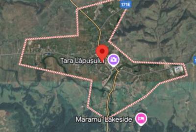 Oportunitate INVESTIE Industriala/Rezidentiala TG Lapus - 9