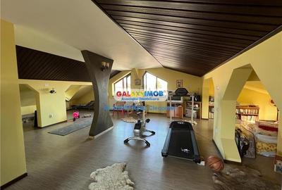 Vanzare casa P+1E+M, in Ploiesti, zona Gheorghe Doja - 10