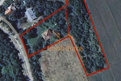 Spațiu comercial, în Tria